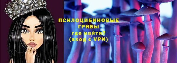 ПСИЛОЦИБИНОВЫЕ ГРИБЫ Нязепетровск