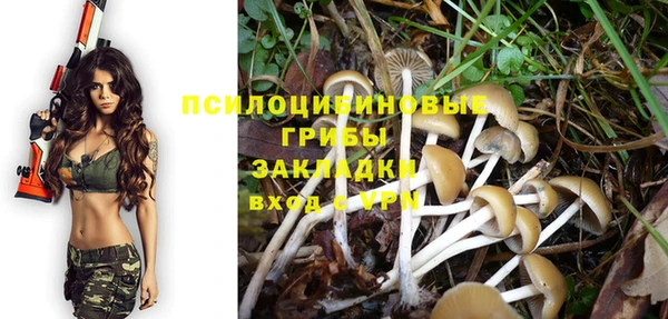 гидра Болхов