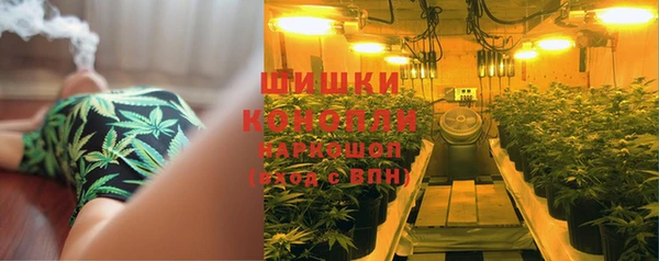 ПСИЛОЦИБИНОВЫЕ ГРИБЫ Нязепетровск